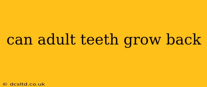 can adult teeth grow back
