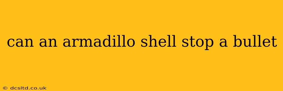 can an armadillo shell stop a bullet