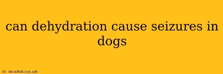 can dehydration cause seizures in dogs
