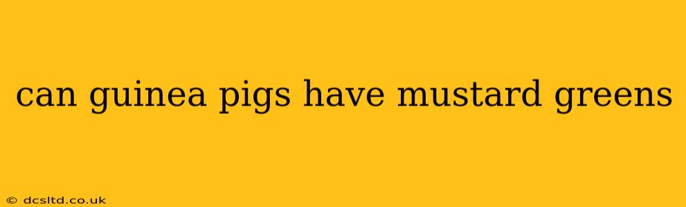 can guinea pigs have mustard greens