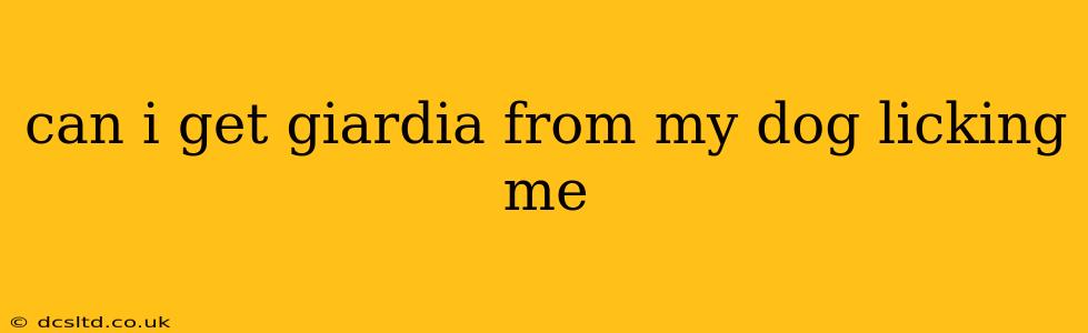 can i get giardia from my dog licking me