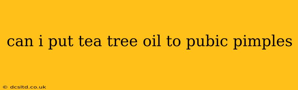 can i put tea tree oil to pubic pimples