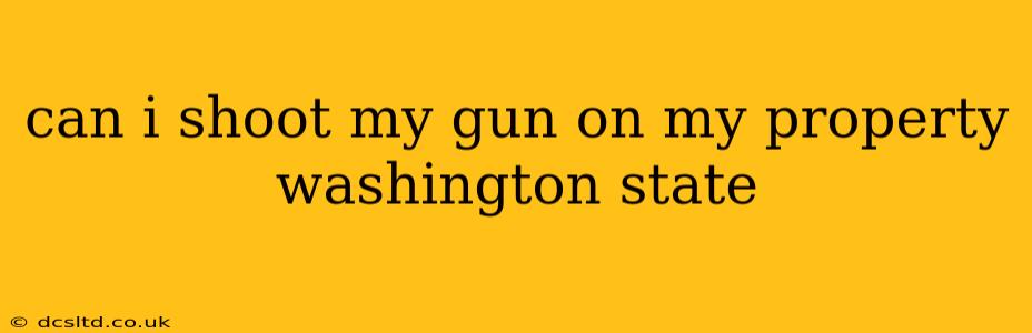 can i shoot my gun on my property washington state