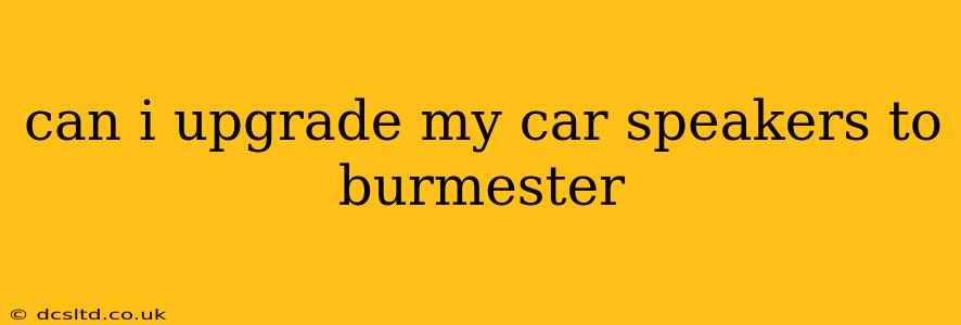 can i upgrade my car speakers to burmester