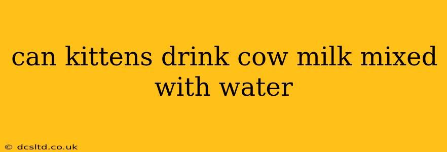 can kittens drink cow milk mixed with water