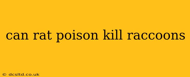 can rat poison kill raccoons