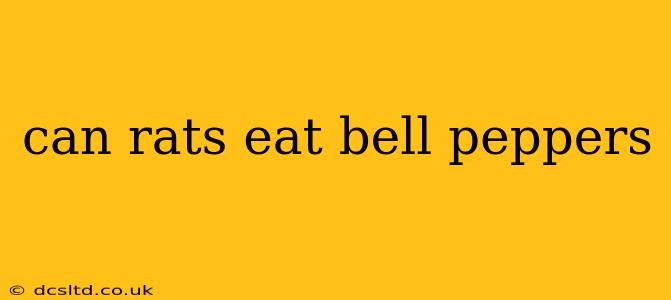 can rats eat bell peppers