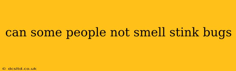 can some people not smell stink bugs