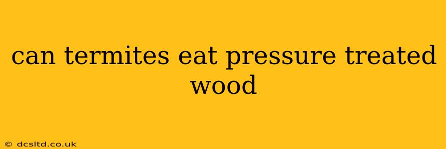 can termites eat pressure treated wood