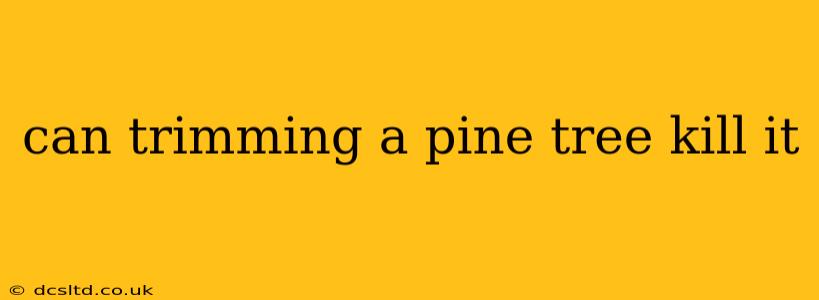 can trimming a pine tree kill it