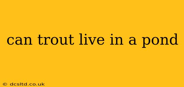 can trout live in a pond