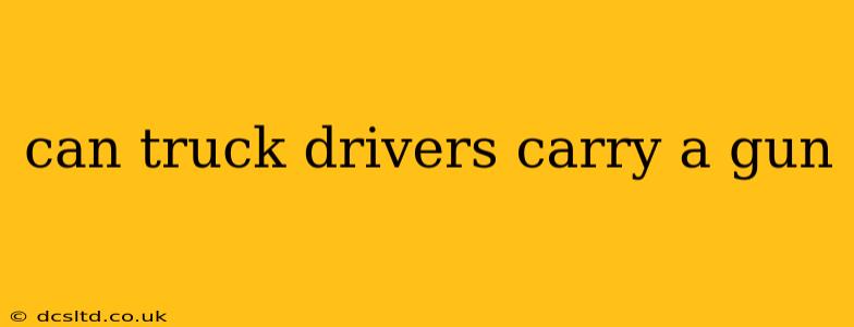 can truck drivers carry a gun
