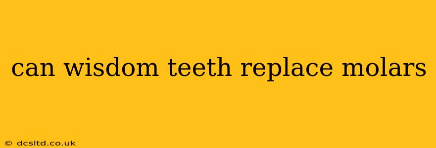 can wisdom teeth replace molars
