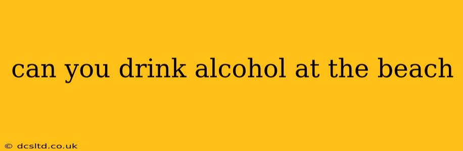 can you drink alcohol at the beach