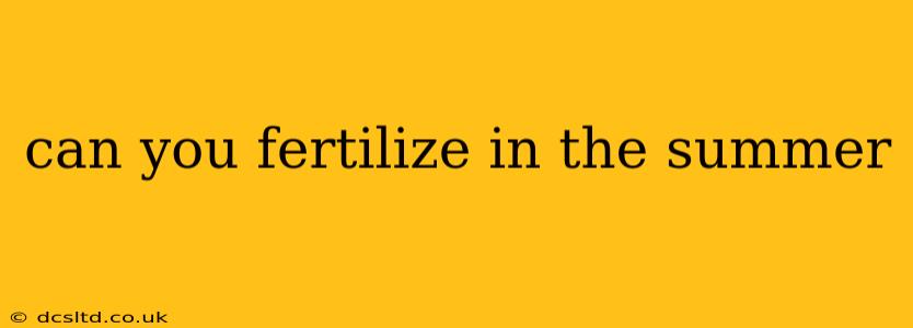 can you fertilize in the summer