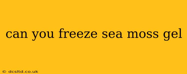 can you freeze sea moss gel