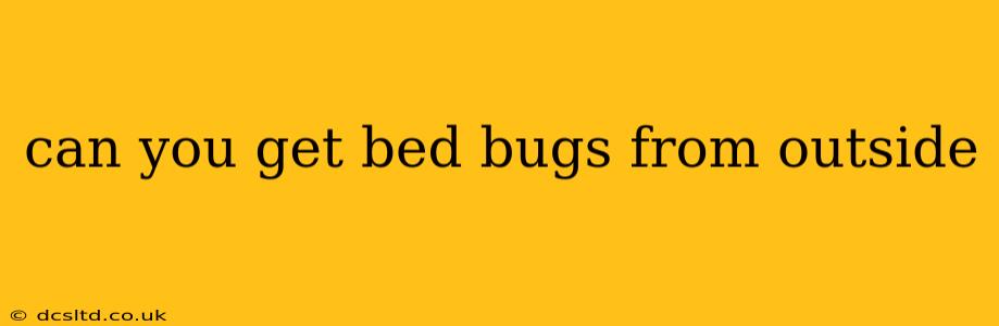 can you get bed bugs from outside