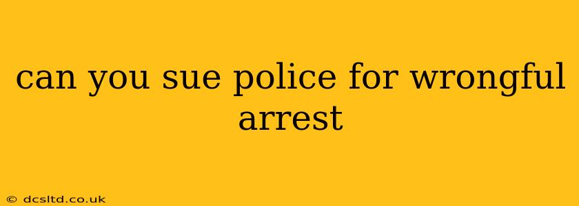 can you sue police for wrongful arrest