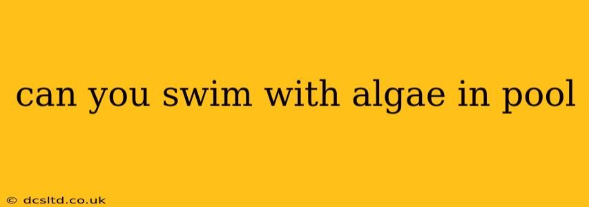 can you swim with algae in pool
