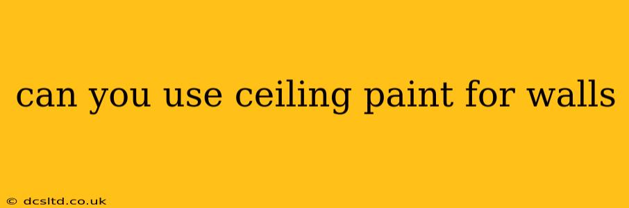 can you use ceiling paint for walls