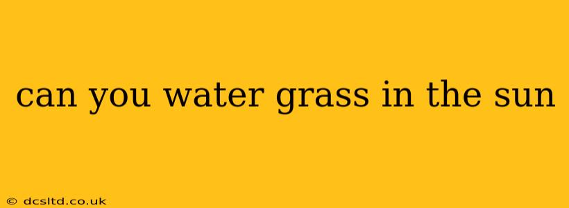 can you water grass in the sun