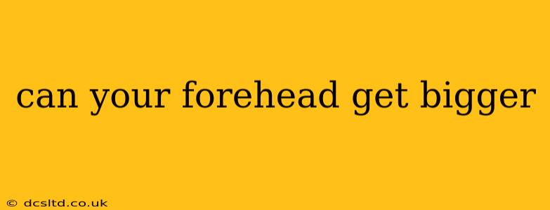 can your forehead get bigger