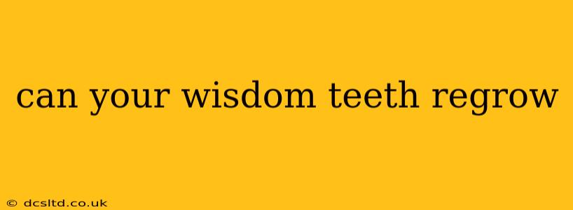 can your wisdom teeth regrow