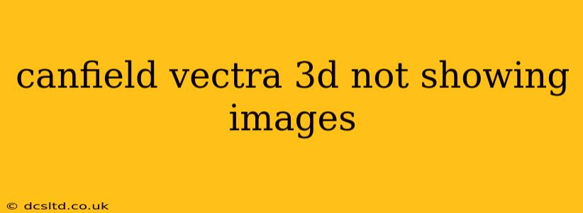 canfield vectra 3d not showing images
