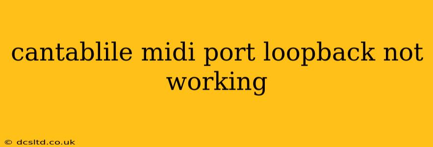 cantablile midi port loopback not working