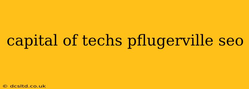 capital of techs pflugerville seo