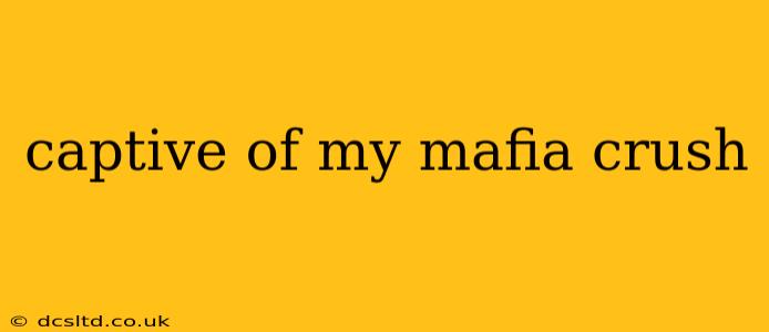 captive of my mafia crush
