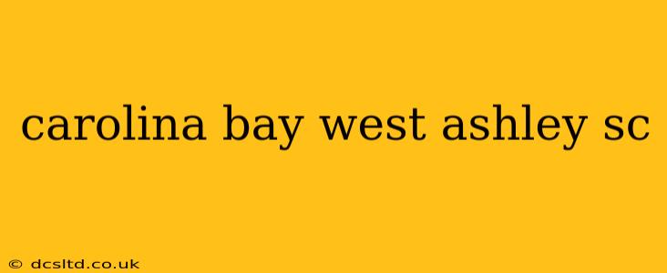 carolina bay west ashley sc