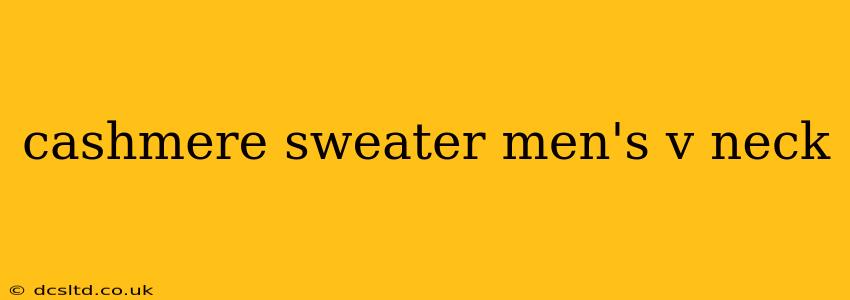 cashmere sweater men's v neck