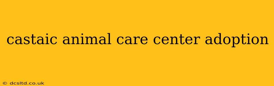 castaic animal care center adoption