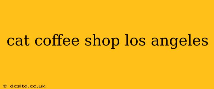 cat coffee shop los angeles