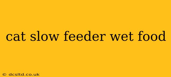 cat slow feeder wet food