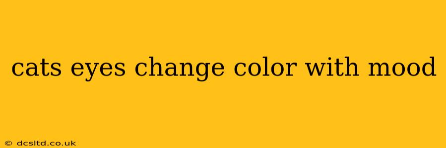cats eyes change color with mood