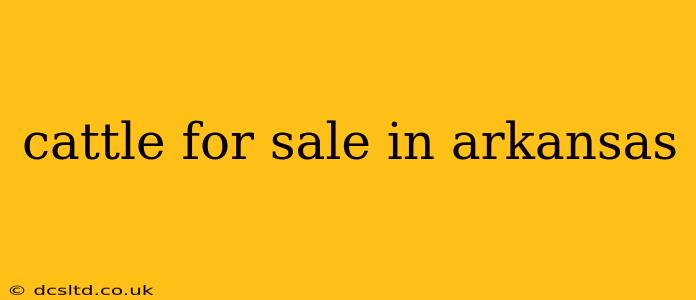 cattle for sale in arkansas