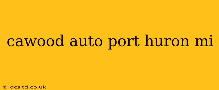 cawood auto port huron mi