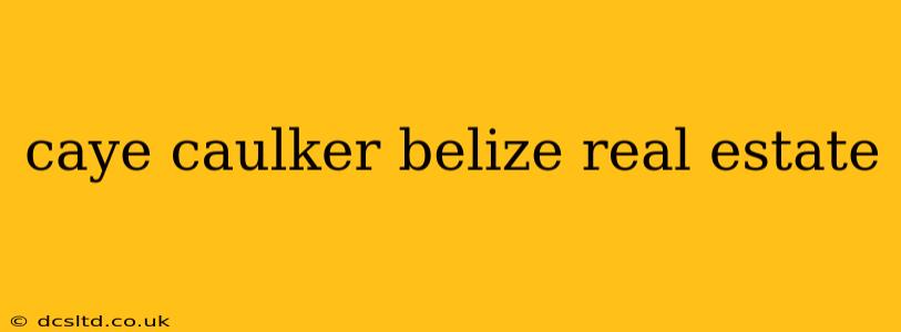 caye caulker belize real estate