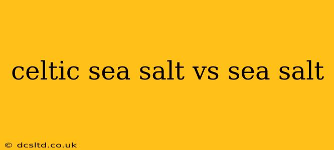 celtic sea salt vs sea salt