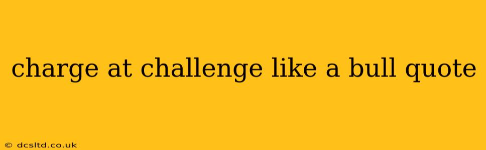 charge at challenge like a bull quote
