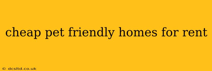 cheap pet friendly homes for rent