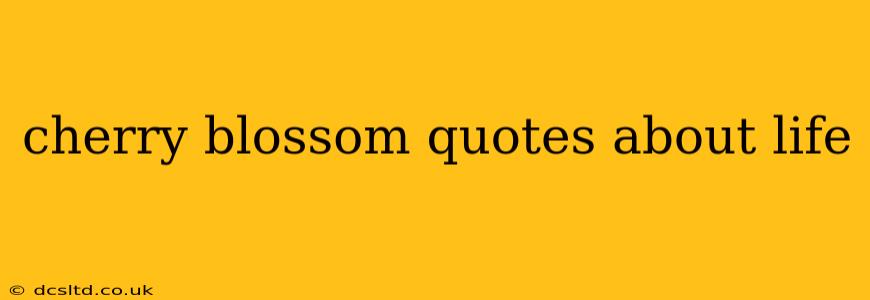 cherry blossom quotes about life