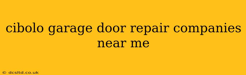 cibolo garage door repair companies near me