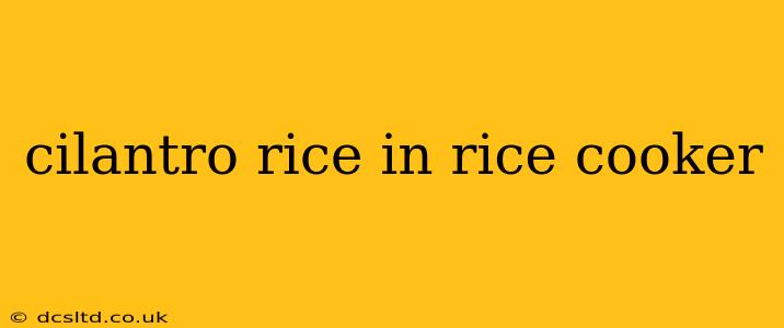 cilantro rice in rice cooker