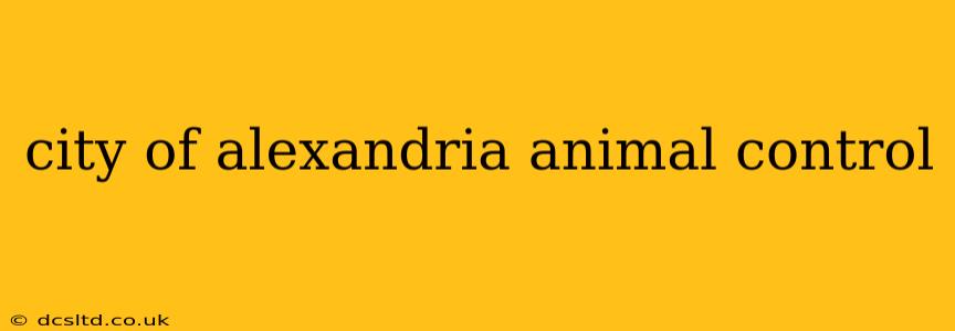 city of alexandria animal control