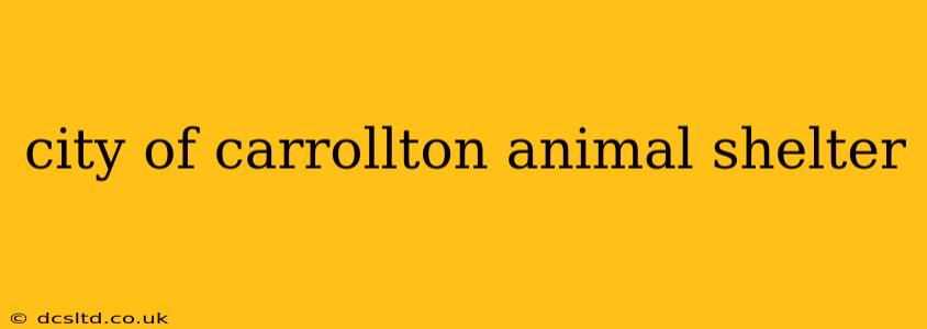 city of carrollton animal shelter