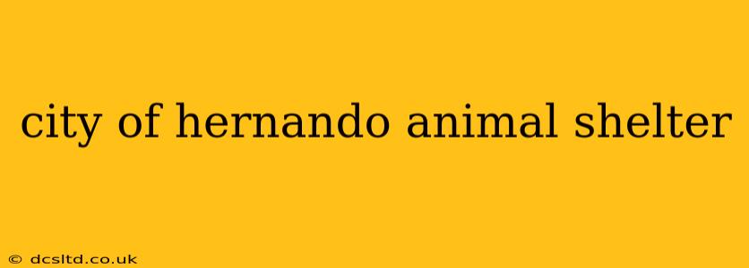 city of hernando animal shelter