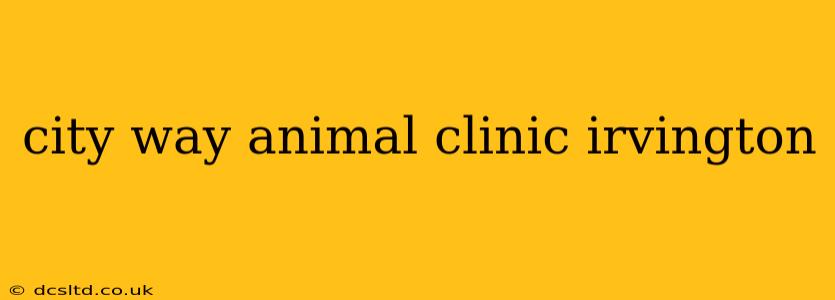 city way animal clinic irvington